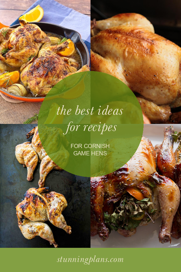 The top 24 Ideas About Easy Cornish Game Hens Recipe - Home, Family ...